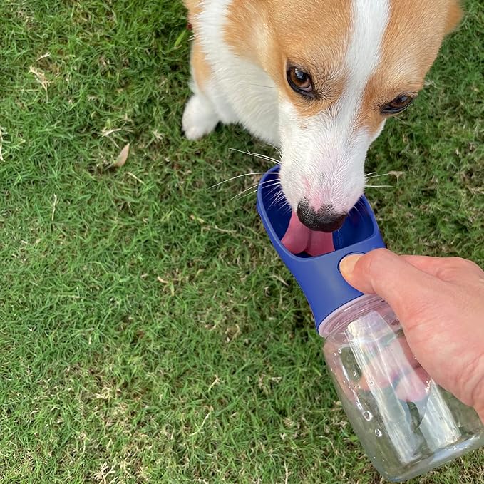 WePet Portable Dog Water Bottle with Food Container, 19oz+6oz