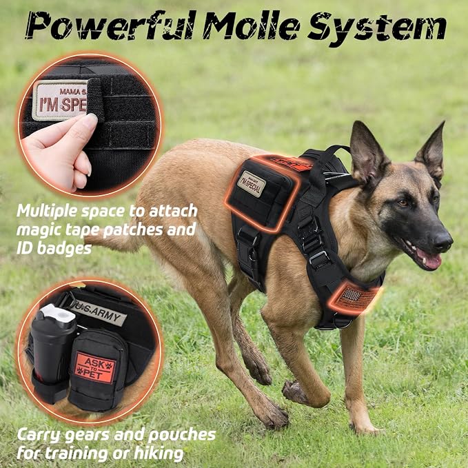rabbitgoo Tactical Dog Harness and Leash for Large Dogs, Heavy Duty Dog Harness with Handle, No-Pull Service Dog Vest Large Breed, Adjustable Military Dog Vest Harness for Training Hunting Walking
