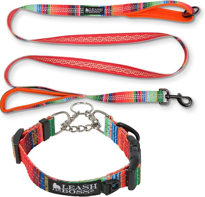 Leash Boss Chain Martingale Patterned Reflective Collar and 6 Ft Double Handle Leash with Padded Handles, Large Collar 19-24.5" Neck, Orange Blanket Pattern