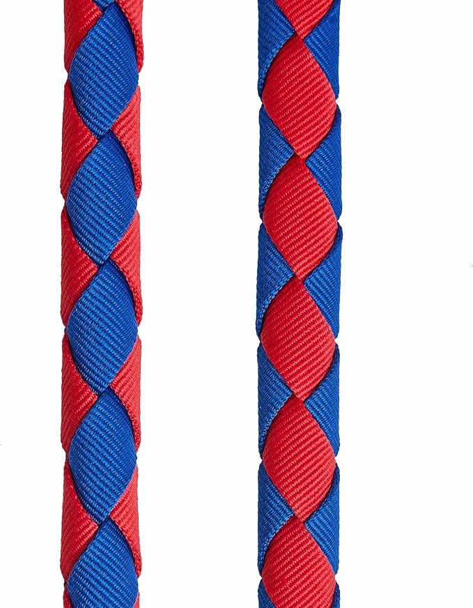Blueberry Pet Iconic Double-Weave Handmade Dog Rope Leash, Navy Blue and Red, 4 ft, Strong Leashes for Dogs