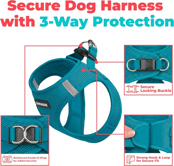 Voyager Step-in Air Dog Vest Harness - Turquoise, XX-Small | 12 - 13.5" in Chest, Reflective Bands, All Weather Breathable Air Mesh, Cats Compatible, Lightweight, Fast Drying