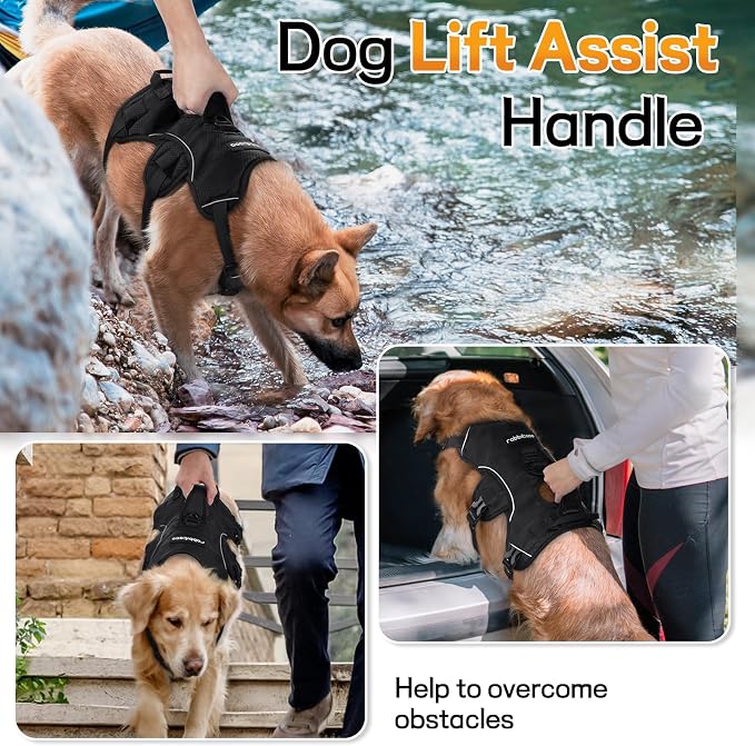 rabbitgoo Escape Proof Dog Harness for Large, No Pull with Lift Handle | No Escape, Full Soft Padded, Reflective Adjustable Vest, Leash Clip for Walking Hiking Training, Black, Large