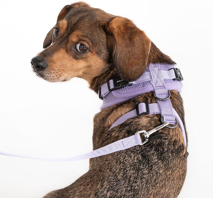 Puppia Ritefit Dog Harness B (Over-The-Head) Mesh Adjustable Chest and Neck for Small Dogs, Violet, X-Large
