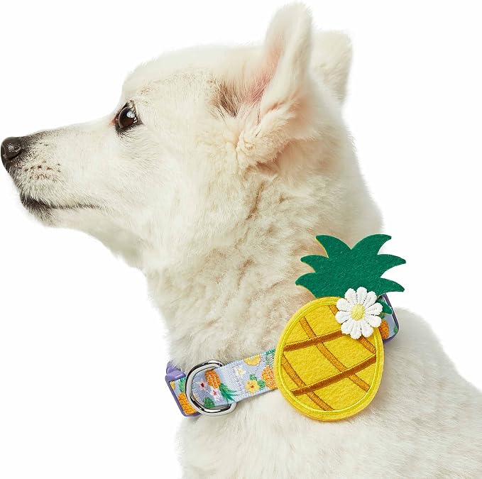 Blueberry Pet Nutritious Pineapple Adjustable Dog Collar with Detachable Accessory, Small, Neck 12"-16"