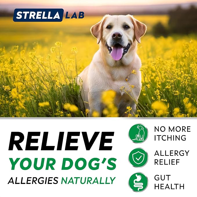 Dog Allergy & Itching Relief - Anti Itch, Skin&Coat Support Chews w/Omega 3