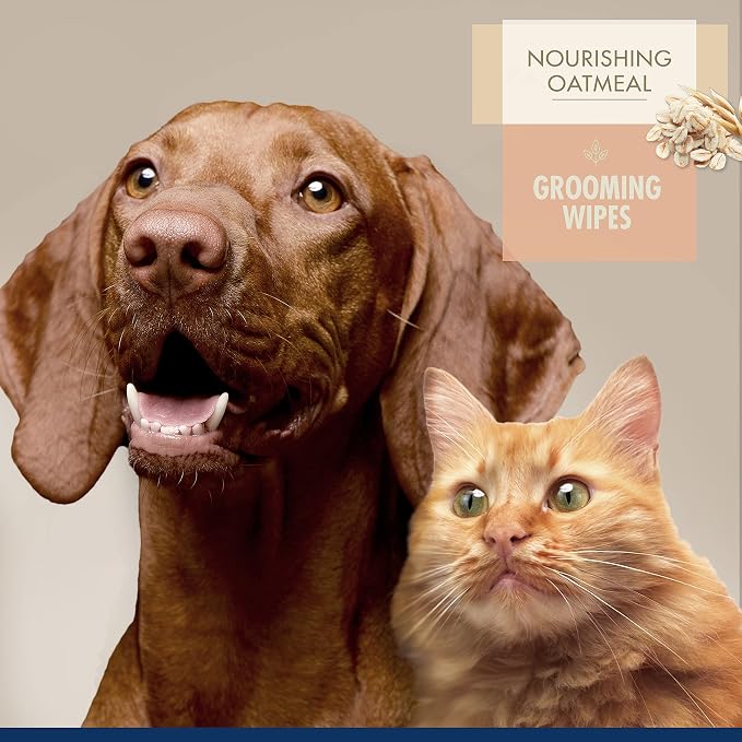 Four Paws Magic Coat Nourishing Oatmeal Grooming Wipes, Peach Scent, 100 Count