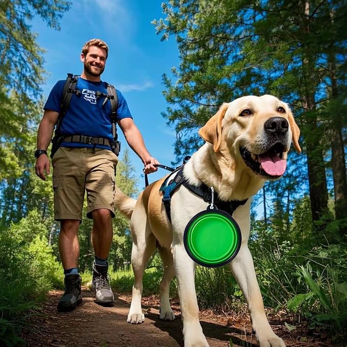 Dog Bowl Collapsible, 2 Pack, with Carabiners, Medium, Blue+Green