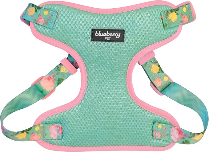 Blueberry Pet Mint Floral Print Mesh Dog Harness Vest for Medium Dogs,Soft Breathable Adjustable Dog Harness