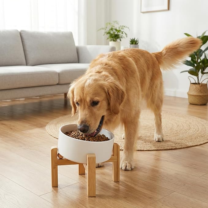 hjn Elevated Ceramic Dog Bowl 15°Slanted Raised Dog Bowl with Bamboo Stand for Small Medium Dogs and Cats, Pet Feeder -7.6-Cup (1800ml)-White
