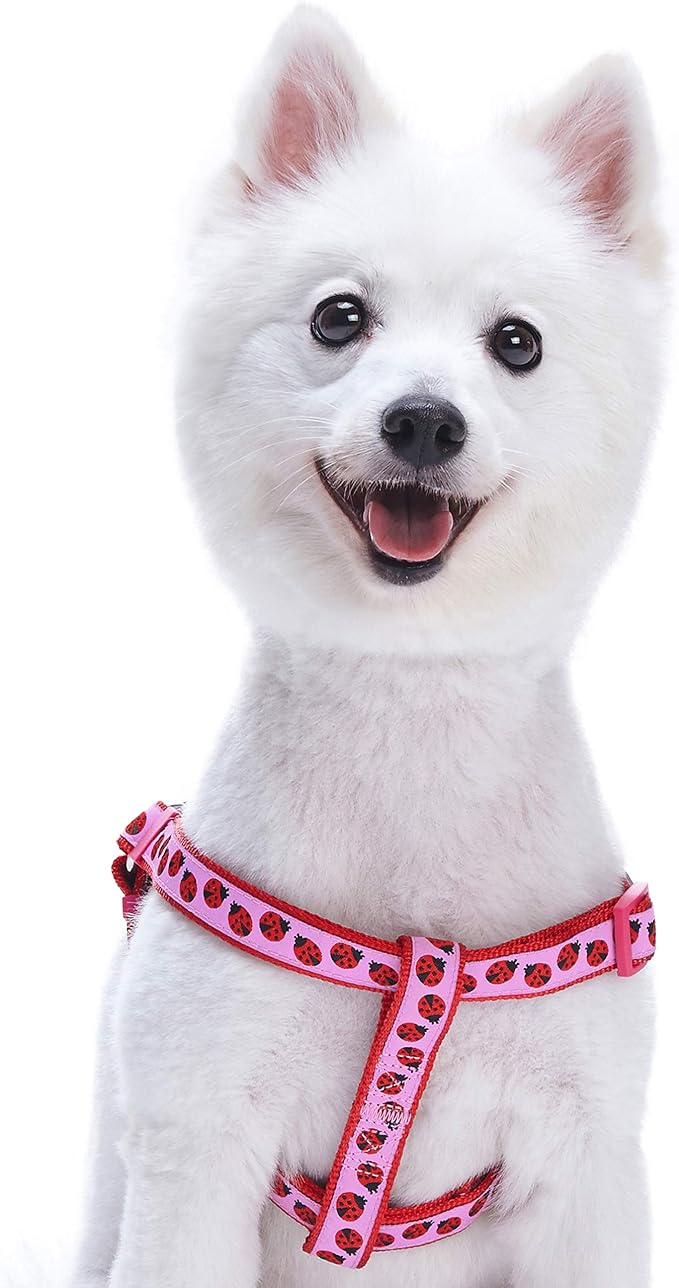 Blueberry Pet Essentials 2 Patterns Step-in Ladybug Designer Dog Harness, Chest Girth 26" - 39", Large, Adjustable Harnesses for Dogs