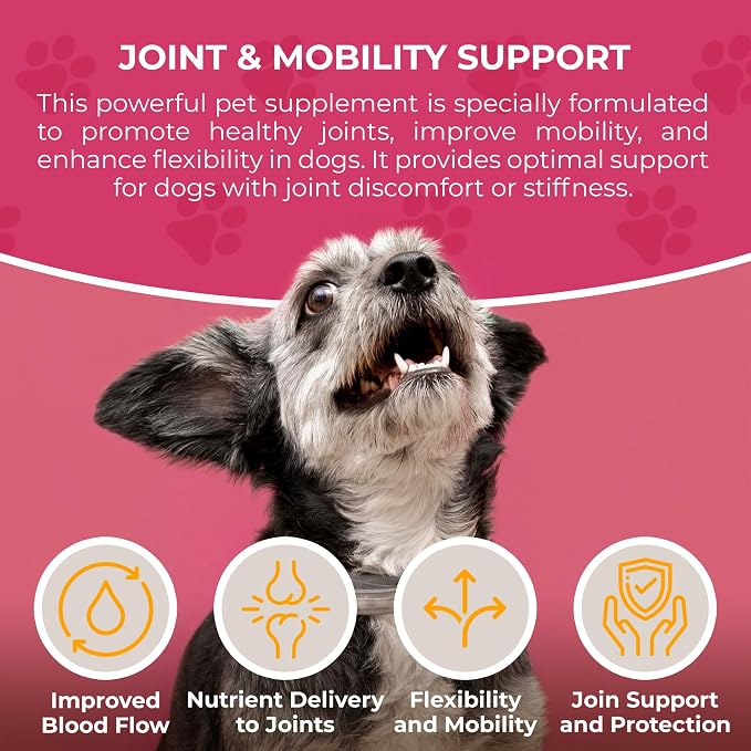 Doggie Condiments Joint & Mobility Support by Kea Pets - Natural Dog Supplement for Healthy Joints, Mobility, and Flexibility in Dogs