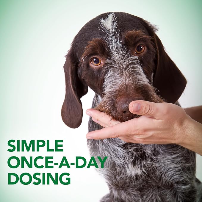Vet's Best Probiotic Soft Chews for Dogs, Digestive Aid, 30 Day Supply