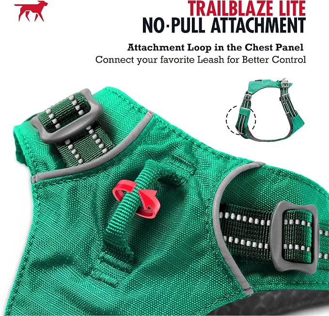 Tuff Pupper All-Day Wear Dog Harness | for Walking, Trail Running, Hiking | Front & Back Leash Clips | Reflective Trim | Easy On/Off Buckles | Lightweight Breathable | No Pull Design (Small, Teal)