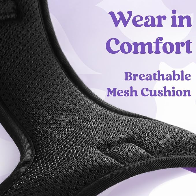 rabbitgoo Dog Harness Medium Sized, Updated Easy On & Off with 3 Buckles | No Pull No Choke, Walking with 2 Clips and Handle, Adjustable Soft Reflective, Purple, Medium