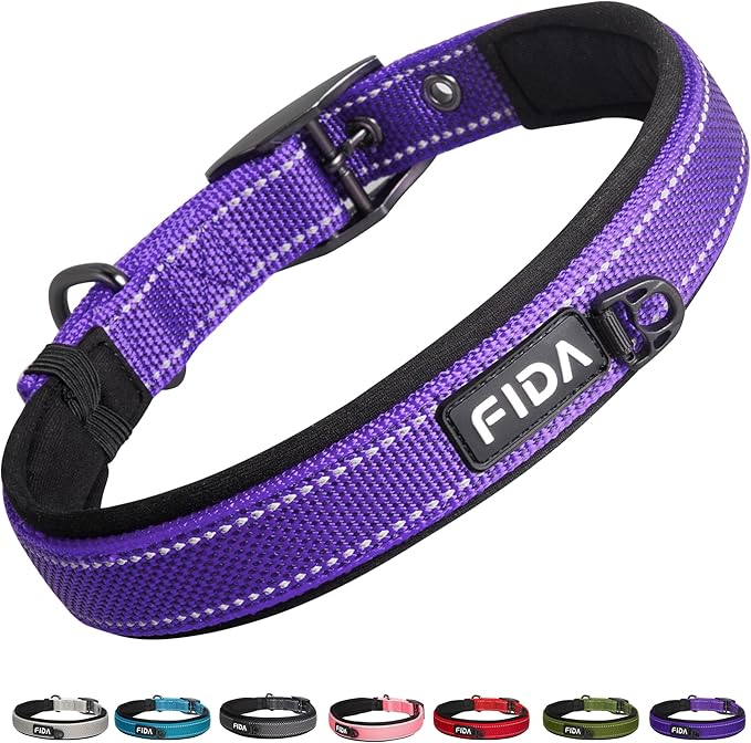 Fida Padded Dog Collar for Small Dogs with Metal Belt Buckle, Purple | Soft Neoprene Padded for Extra Comfort, Durable Nylon Webbing, Adjustable Fit, Reflective Stitching for Night Safety