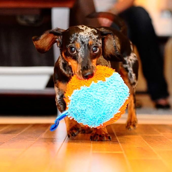 Chuckit! Indoor Fetch Shaker Dog Toy, 7.75in, Orange and Blue | Interactive Shaker Toy Designed to Fight Boredom Indoors, Keeping Dogs Busy and Entertained During Playtime