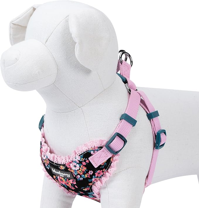 Blueberry Pet Soft & Comfy Made Well Elegant Floral No Pull Mesh Puppy Dog Harness Vest in Sleek Black, Chest Girth 14"-16", X-Small, Adjustable Harnesses for Dogs & Cats