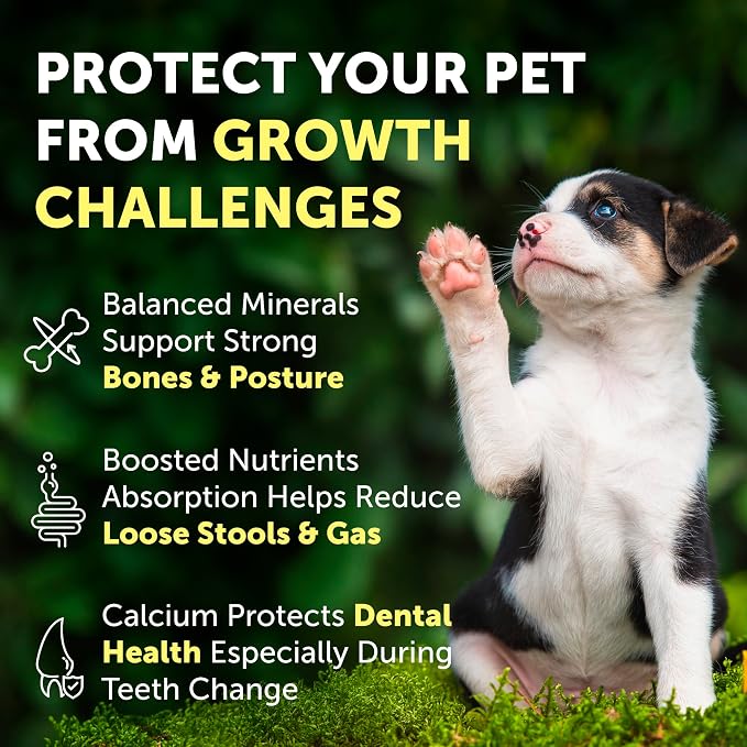 Nature's Protection Bones & Teeth Supplement Powder for Puppies, 9oz