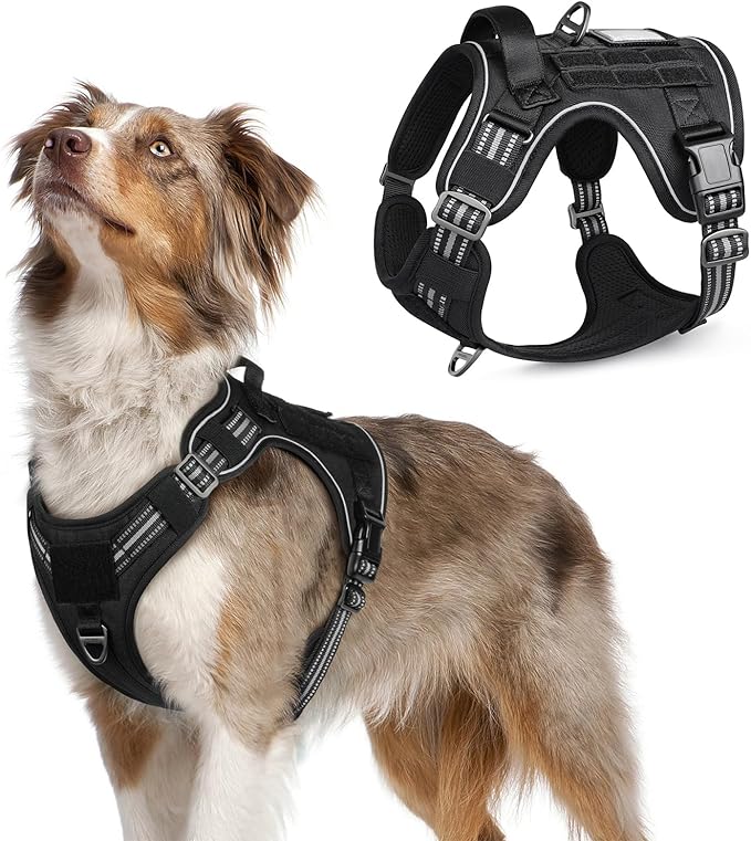 rabbitgoo Tactical Dog Harness for Medium, No Pull Military Service Vest | Molle & Handle, Heavy Duty, Adjustable, Reflective Straps, Easy Control for Training Walking, Black, Medium