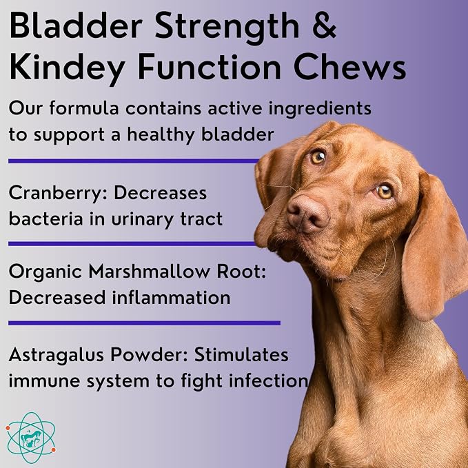 Dog Incontinence Supplement – Bladder Control for Dogs, Cranberry Pills for Dogs, Senior Dog Incontinence Support, Dog UTI Treatment, Bladder Strength – 55 Soft Chews, Made in USA