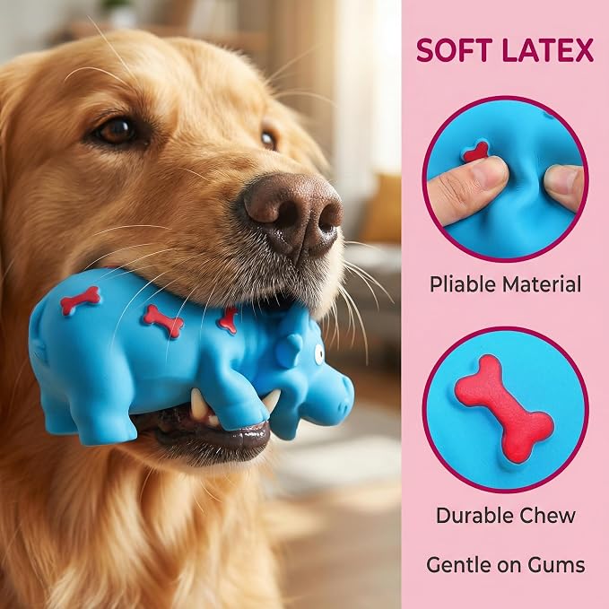 3 Pack Pig Squeaky Dog Toys, Durable Natural Latex Rubber | Piggy Shape, Grunting Sounds for Small Medium Large Dogs, Interactive Chew Toys with Oinking, Decorative Pink and Blue