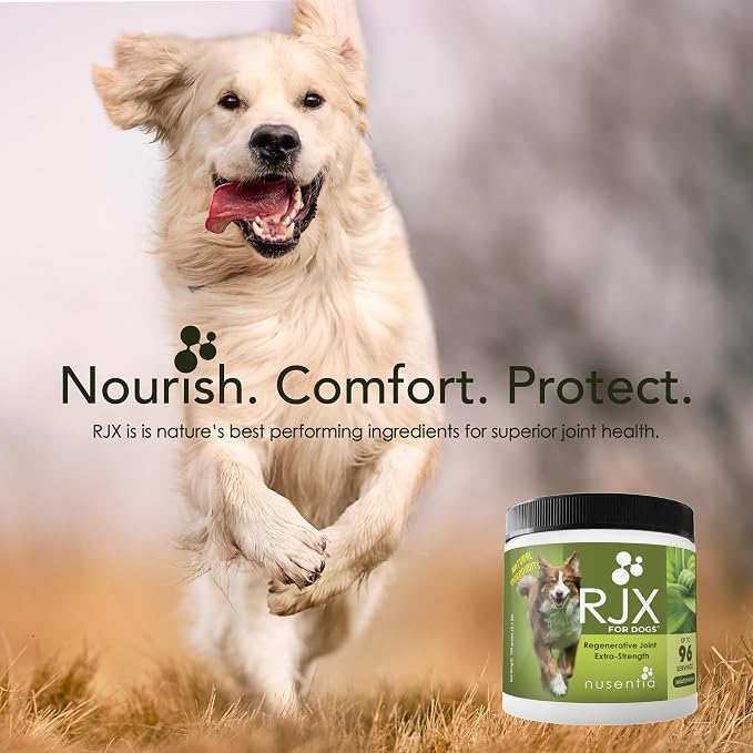 NUSENTIA Joint Health Supplement for Dogs, RJX Powder (144 G) - Extra Strength Glucosamine, Chondroitin, MSM