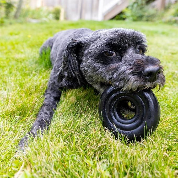 KONG Extreme Donut, Durable Natural Rubber Chew Toy, for Small/Medium Dogs | Made from KONG's Toughest Natural Rubber for Power Chewers, Safe on Teeth & Gums with a Fun Bounce & Roll