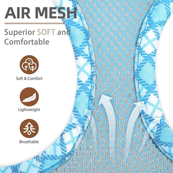 PUPTECK Dog Harness and Leash Set for Small Medium Dogs No Pull Step-in Soft Mesh Puppy Cat Vest Harnesses Reflective at Night, Sky Blue, M