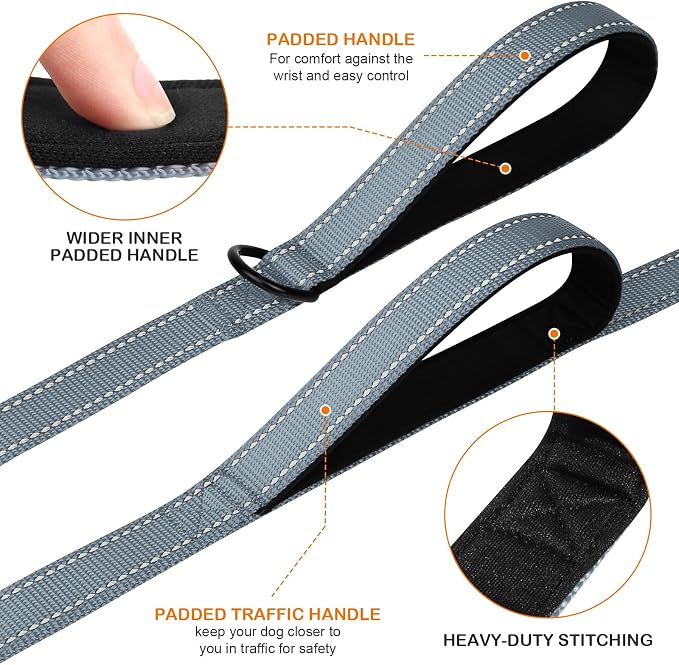 Joytale Dog Leash for Large Dogs that Pull, Double Handle, 6FT, Gray | Traffic Handle for Control, Padded Handle Reduces Hand Strain, Reflective Stitching for Night Safety, Strong Nylon Webbing