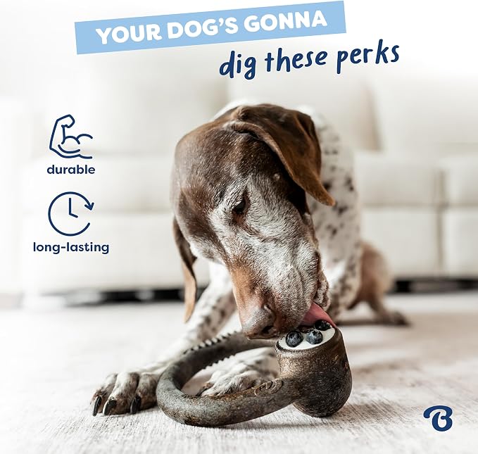 Benebone Ring Dog Chew Toy for Aggressive Chewers, Blueberry, Small | Durable, Super Chewer, Dog Bones, Long-Lasting, A Size for Every Dog, Keeps Them Busy