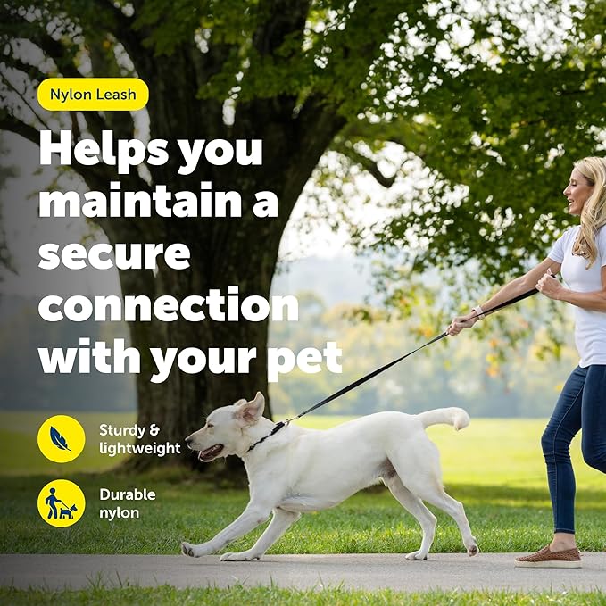 PetSafe Nylon Dog Leash - Strong, Durable, Traditional Style Leash with Easy to Use Bolt Snap - 1 in. x 4 ft., Red | Durable Nylon Leash with Easy on/off Bolt Snap Hook, Pairs Perfectly with Easy Walk Harness and Gentle Leader Headcollar