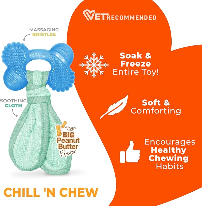 Nylabone Puppy Chew 2-in-1 Teething Freezer Bone Dog Chew Toy, Small | Peanut butter flavor, teething toys for puppies, puppy teething freezable to soothe sore gums, for small puppies up to 25 lbs