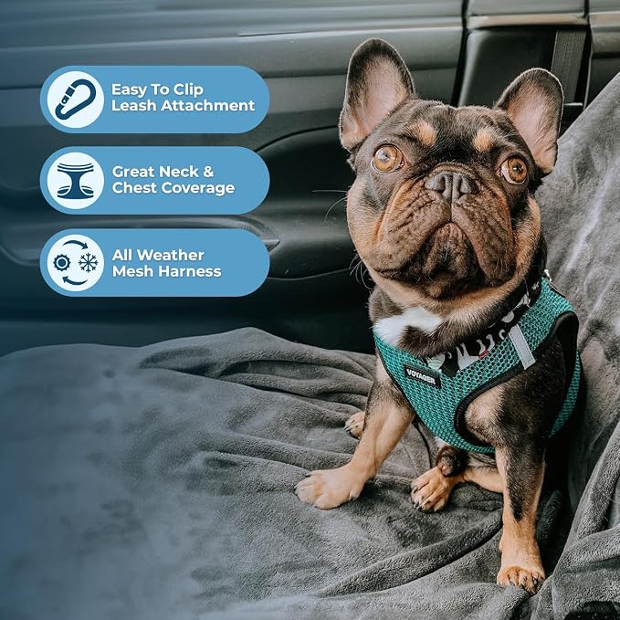 Voyager Step-in Air Dog Vest Harness - Turquoise 2-Tone, Small | 14.5-16" in Chest, Reflective Bands, All Weather Breathable Air Mesh, Cats Compatible, Lightweight, Fast Drying