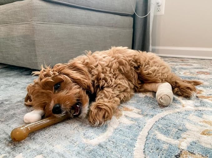 Nylabone Power Chew Classic Bone Chew Toy for Dogs, Durable Dog Toys for Aggressive Chewers, Chicken Flavor, Large/Giant - Up to 50 lbs. (1 Count) | Durable, discourages destructive chewing, long lasting, flavor throughout, keeps dogs busy, for dogs up...
