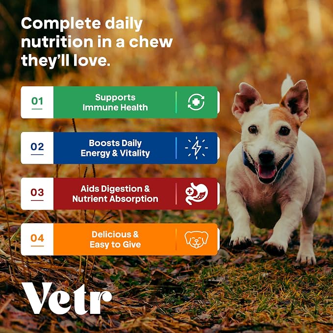Vetr Dog Multivitamin Treats, 60 Chews Chicken Flavor, Daily Pet Dog Vitamins and Supplements with Glucosamine, Chondroitin, & Probiotics, Hip & Joint, Immune Support, & Digestive Care