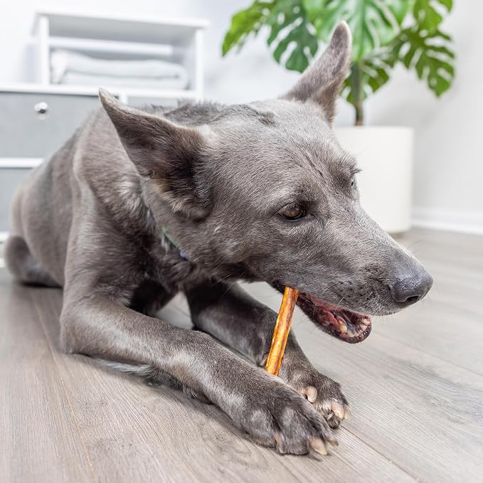 Wild Eats Real Salmon Collagen Bully Sticks for Dogs, (15ct, 1cm Thick) Healthy Bully Stick - Long Lasting Dog Chew Treat