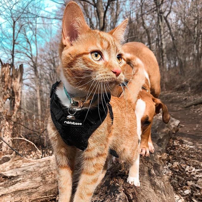 rabbitgoo Cat Harness and Leash Set, Escape Proof Vest, Black | Soft Breathable Mesh, Easy Adjustable Fit, Snap Buckles, Sturdy Clip, Reflective Strips, for Kittens & Small Cats Walks, Xxs