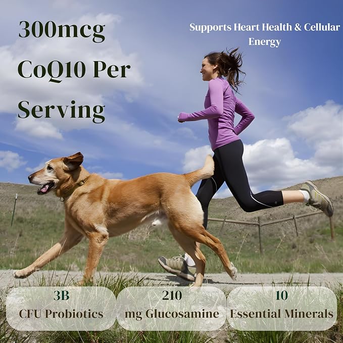 Dog Multivitamin Chews 10-in-1 - Glucosamine Probiotics 3 Billion CFU Omega CoQ10 - Dog Vitamins for Joint Immune Gut Skin Coat - 90 Soft Chews
