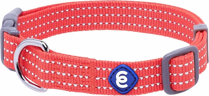Blueberry Pet Essentials Reflective Better Basics Matching Dog Collar and Leash Set in Fiery Red, Adjustable Collar with 4 ft Leash for Large Dogs