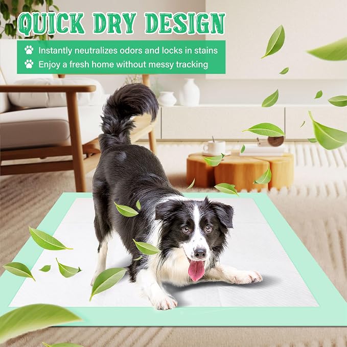 Puppy Pads Extra Large 30"x28", Dog Pee Pads with 5-Layer Super Absorbent Quick Dry Design, Leakproof Dog Traning Pads for Puppies, Cats, Crates and Housebreaking, 50 Count