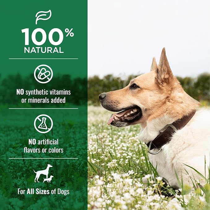 Nature's Logic Beef Trachea Dog Chew Treat - 100% USDA Prime Beef, All Natural Single Ingredient Dog Snack - Promotes Dental Hygiene - High Protein, Carnivore Recreation - Beef Trachea Treat, 1lb