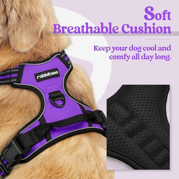 rabbitgoo Dog Harness, No Pull Medium Sized with 2 Leash Clips, Pet Vest | No Choke with Handle, Adjustable Soft Padded, Reflective, Easy Control for Walking, Purple, Medium
