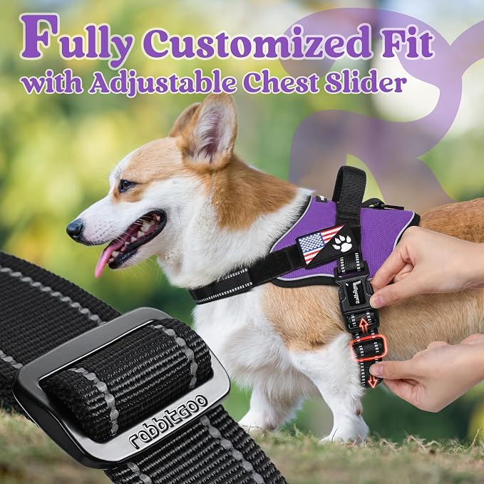 rabbitgoo No Pull No Choke Pet Vest, Adjustable Pet Harness with Molle | Medium Sized Dog Harness, Reflective, Easy Wearing with One Buckle for Walking, Training, Purple, M