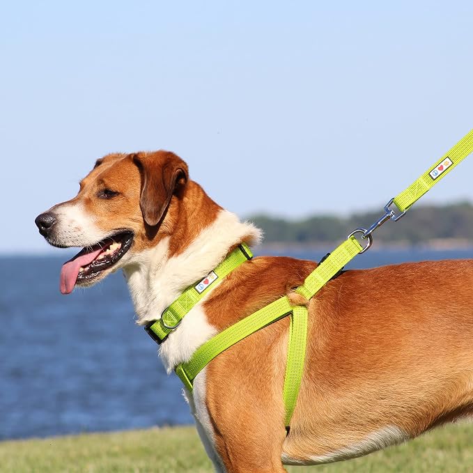 Pawtitas Reflective Step-in Dog Harness – Adjustable No-Pull Vest for Puppies to Seniors, Safe & Comfortable, M Orchid
