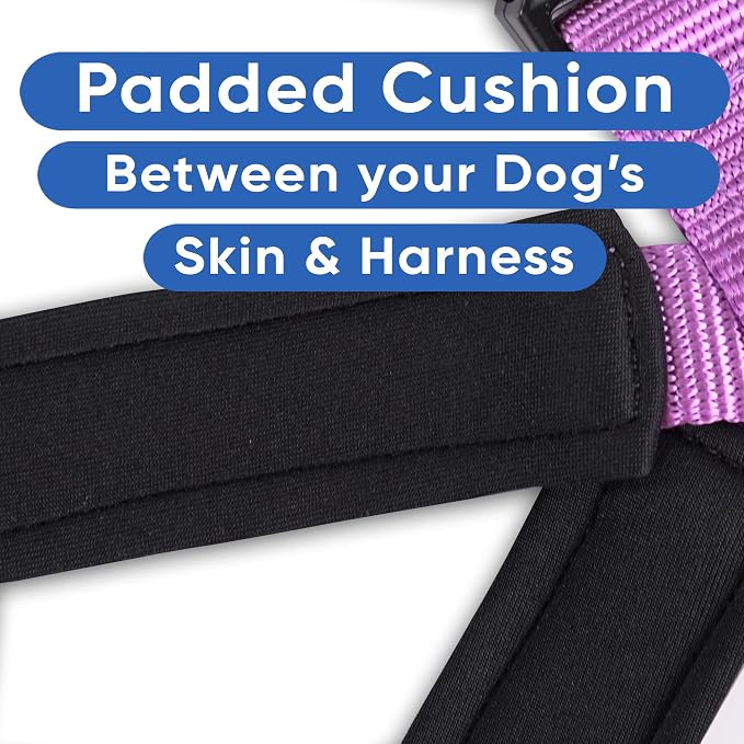Pawtitas Reflective Padded Dog Harness for X-Small Dogs – Adjustable Puppy Step-in Vest | Fits Chest 14–18 in | No Pull Training Harness | XS | Orchid