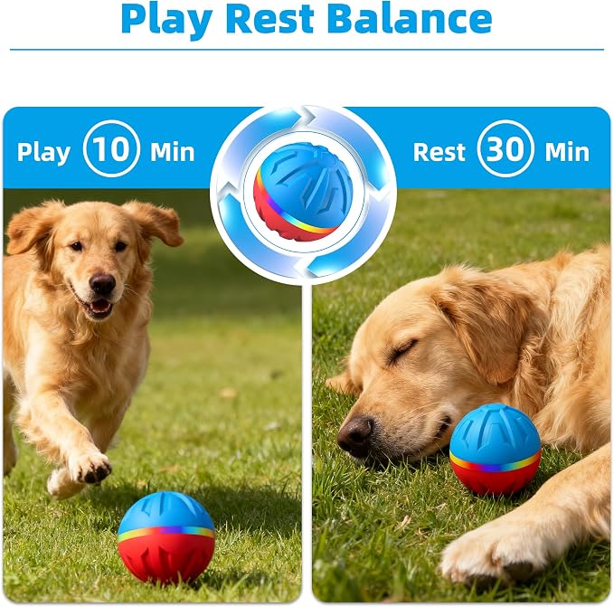 Casfuy Durable Motion Activated 2 Speed Interactive Ball Dog Toy with Remote & LED Light, Blue