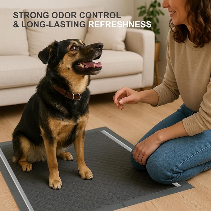 CLEAN SPACES Charcoal Puppy Pads 100 Count, Disposable Pee Pads for Dogs / Wee Wee Pads / Potty Training Pads, Underpads with Activated Carbon to Eliminate Odor, 22"x22"
