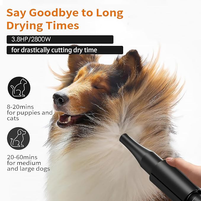 2800w 75m/s Pet Dryer Stepless Adjustable Speed Temperature Dogs Grooming Blow Dryer with Heater for Pets Hair Dryer