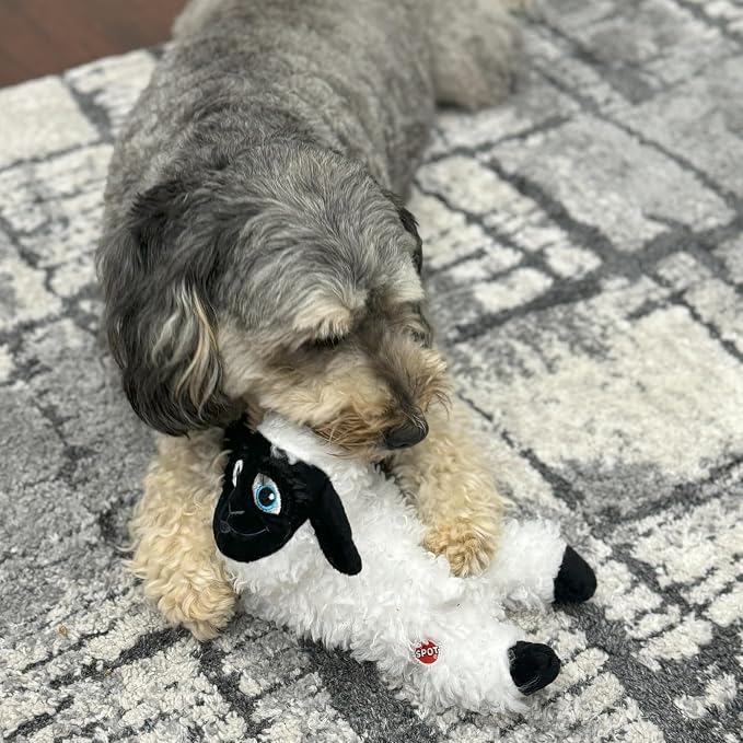 SPOT Baa Baa Black Sheep Plush Dog Toy - Cute and Cuddly Fleece Toy with Squeaker for Small to Medium Dogs and Puppies, 11in Black and White Lamb