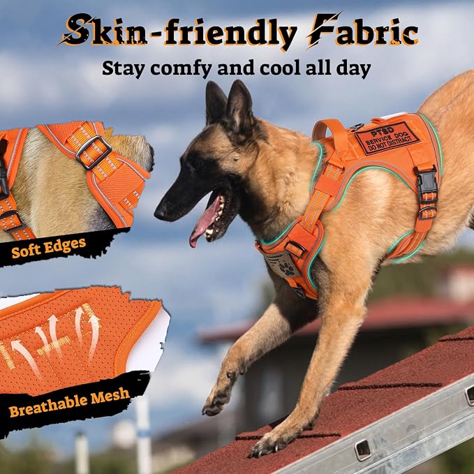 rabbitgoo Tactical Dog Harness Medium Sized, No Pull Service Pet Vest | Military Molle System & Easy Control Handle, Adjustable and Reflective for Walking and Training, Orange, Medium